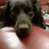 0432f514562cab0d48a901ab0fddbc58