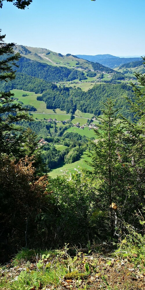 https://img.super-h.fr/images/2022/09/19/077bcf98515c6734e084ab23ccb8d4cb.md.jpg