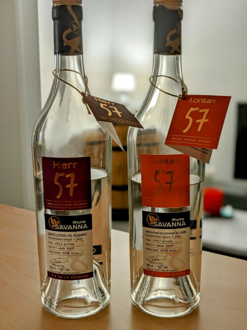 PXL 20221003 181617518.PORTRAIT 1