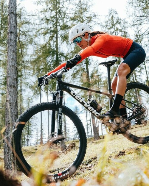 309163832 192989813182623 3878087653403838526 n