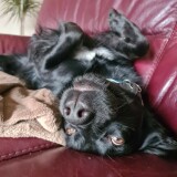 2a7a300847e63cefa28610566b0f804e