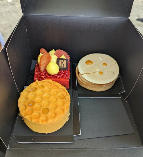 PXL 20220711 130507536