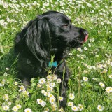 028d10fef381572706787e6be4b15b12