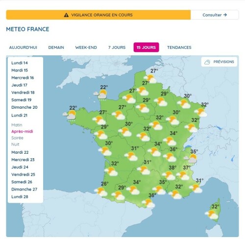 Sans titre