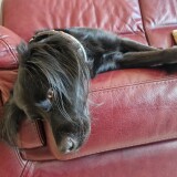 48aba3637175bd8e998aaa1c98b10851