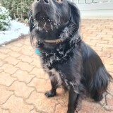 36411ba7b84469b4587d0557319e8b57