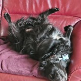 28c688b321a93d8b09b7978e559b7933