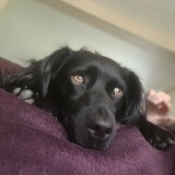 47be5d7500bd3fdf90ad9e13794bc248