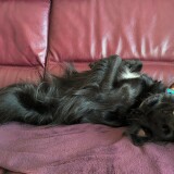 2c677aeb6e5b0172182dcb9e0e86052c