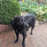 f3870fadce1c5546b0b234eea3e024cb