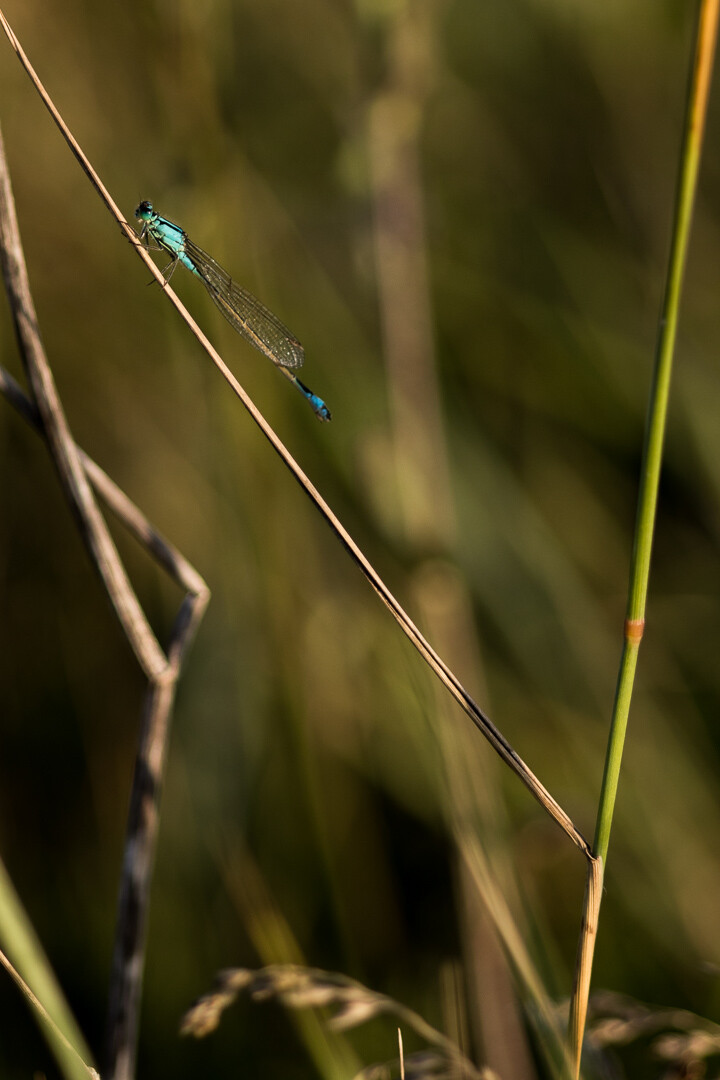 https://img.super-h.fr/images/2025/04/12/a974bfceae049db4e5498ecfbd491bc3.jpg