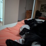 4076c5858b73a9c1e387438170be46c8