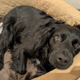 0d06762c54bc3c022eecaad13e012bc9