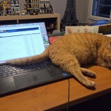 421b02185e9ca79a4b76fca39dcfebae