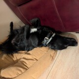 133fa4fec2a5e2c44a0cd811175074af