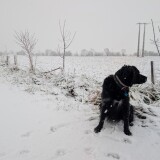 c18cbbabfc73004822133560345e3129