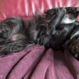 4d671256d7c5754160ab57f4423121f0