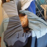 ec1898103fc5fde95fb4780c9ccab1d3