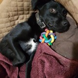 28a43f7673b7d0cd863dd90b913c21ef