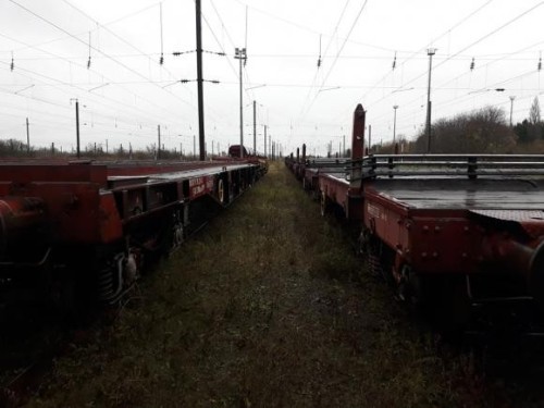 262163514 297043995631571 8521795887926234075 n