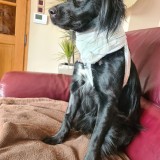 412786d8b78c522314c818001ae7ec33