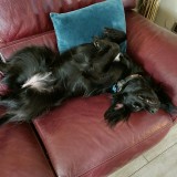 5b20310192f6c9f5d0eae3e4d3701aaf