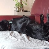 8432a7f03ff2c9450f36cb49bb6305b8