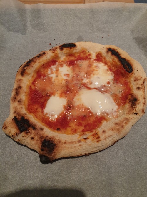 91904498 698879244252900 8189784987386511360 n