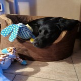 9d70d88558eb56de13df51565971335b