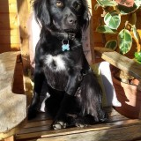 IMG_20200414_084516493_HDRd7e8e93093d54274