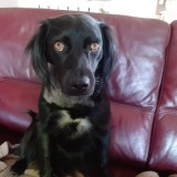 da7e4129768a1b6992825f2e255969cf